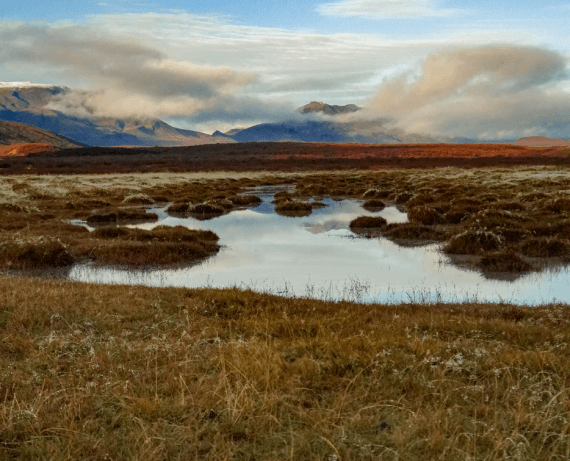 Different Ways to Sell Your Land: Why Working with Land Large is the Best Experience